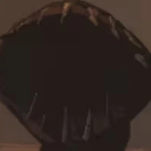 눈없는개