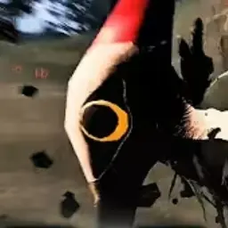 Profile image of 거대 딱다구리