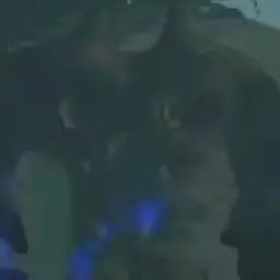 Profile image of 숲지기