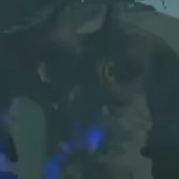 숲지기