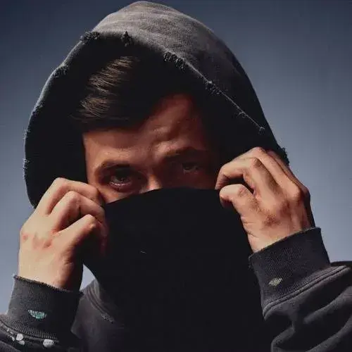 AmusedScore1073의 Alan Walker