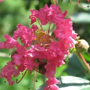 Profile image of 에이븐