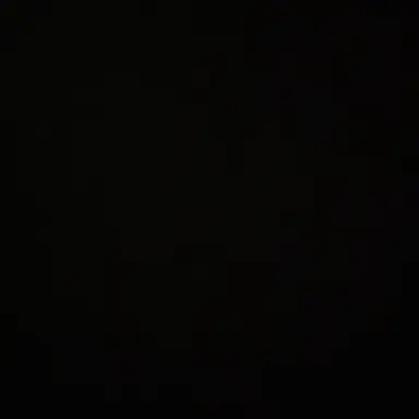 Profile image of 최범규