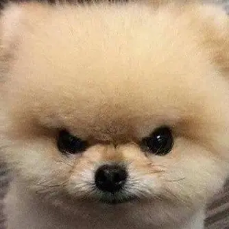 Profile image of 놔놔