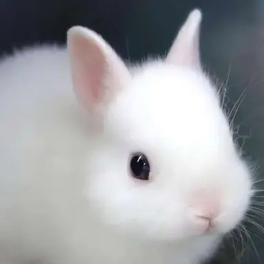 Profile image of 지훈