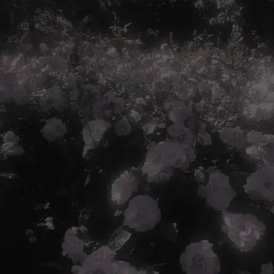 Profile image of 유지민