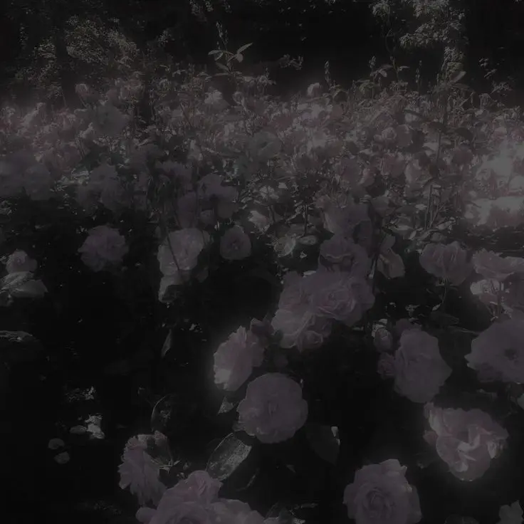 Zxnx0my의 유지민