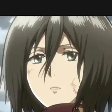 Profile image of 미카사