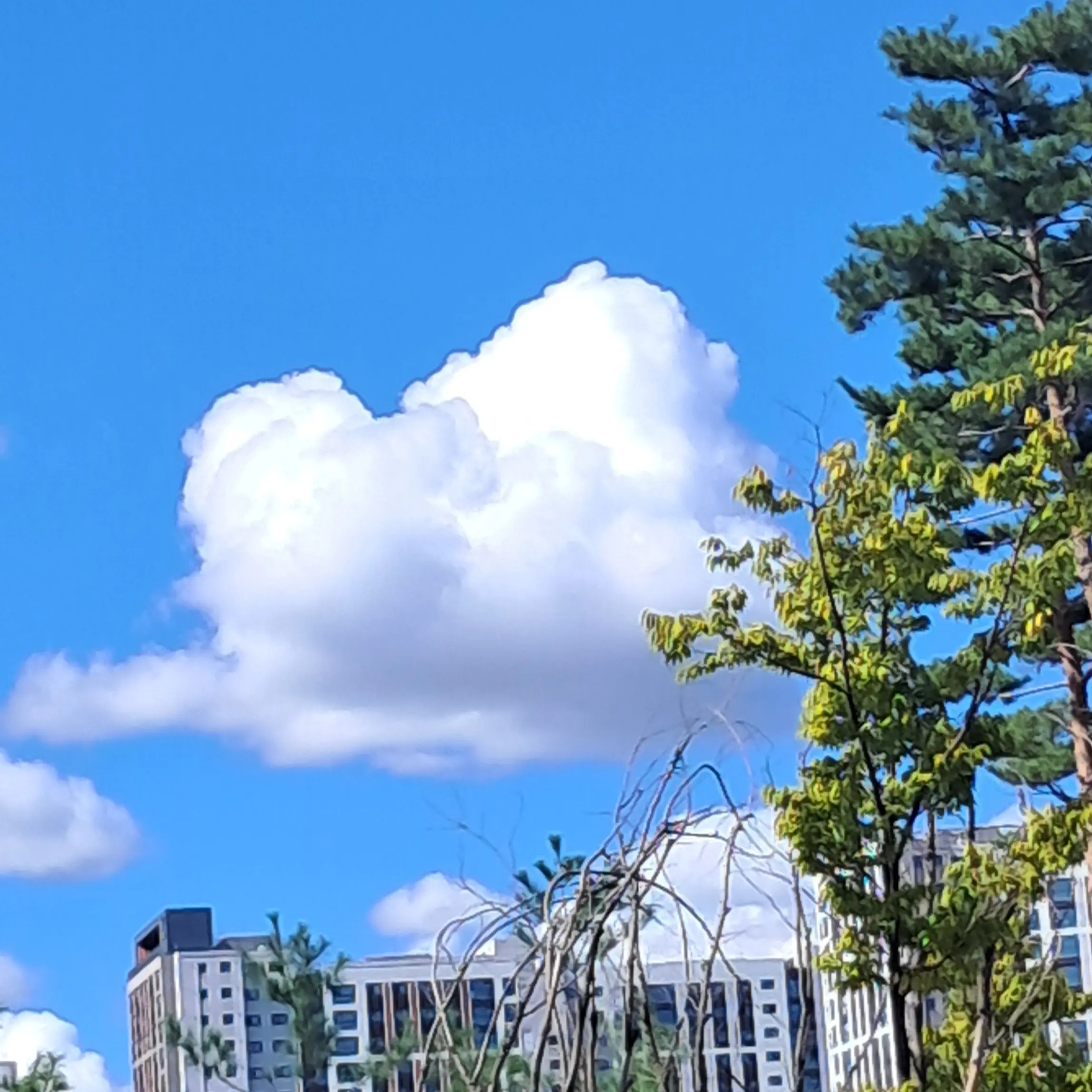 QuietHand8702의 뜰팁 고등학교