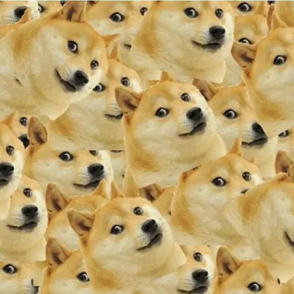 FlakyKagu4304의 1346494마리의 시바견