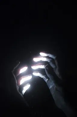 Profile image of 이토시 린