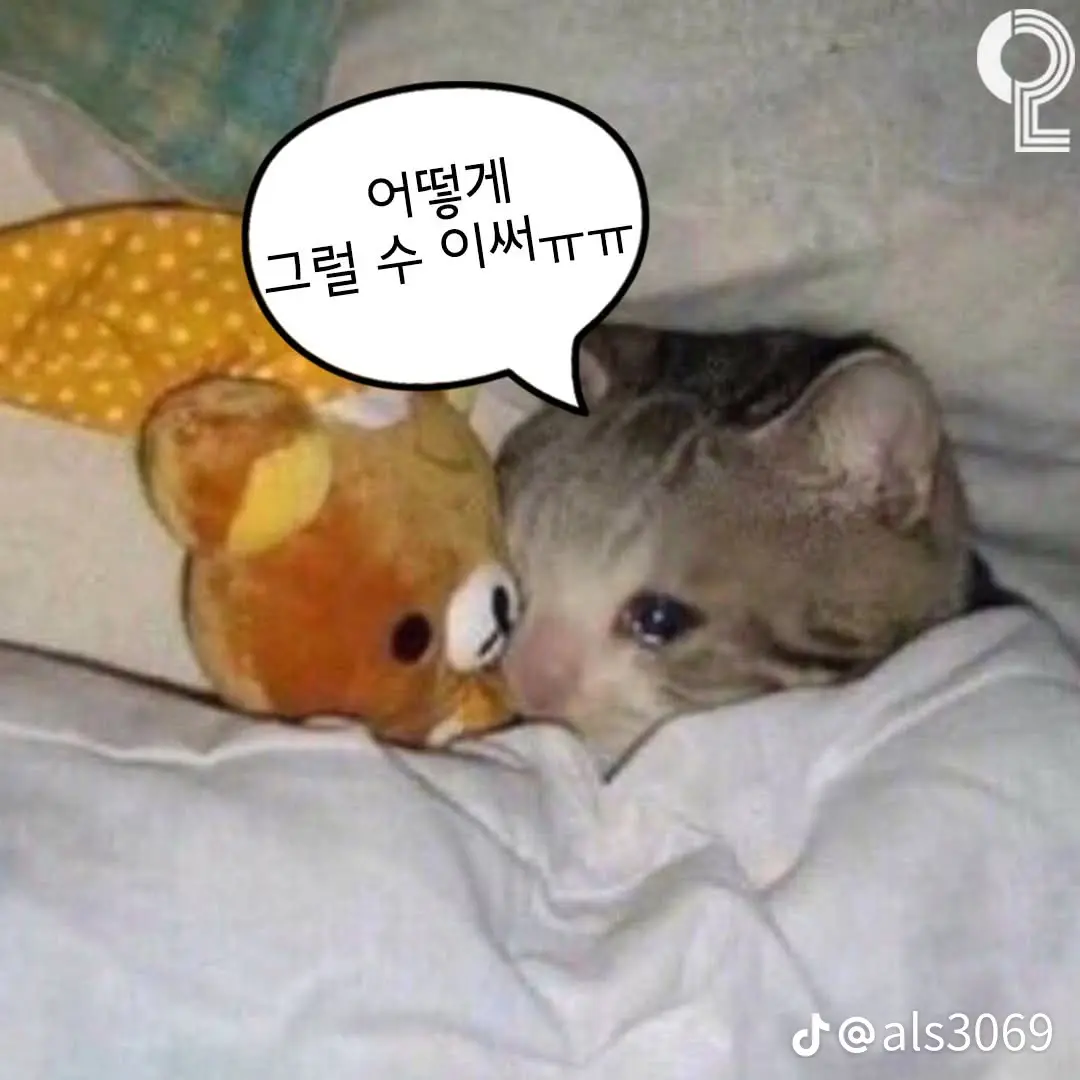 BalmyStand9864의 도아