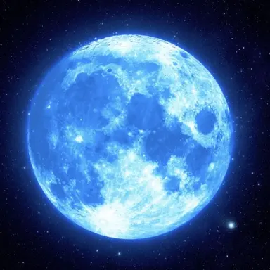 Profile image of 쥬리