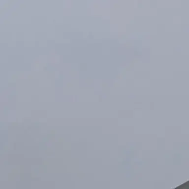 Profile image of 2026 T1