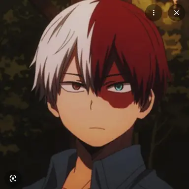 Profile image of Todoroki