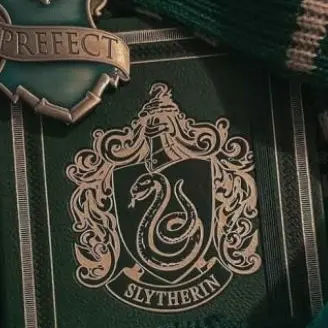 Profile image of Draco Malfoy