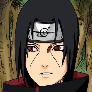 Profile image of イタチ