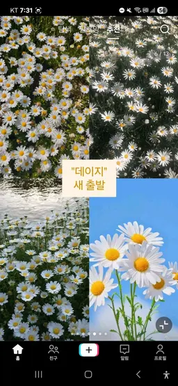 Profile image of 포요