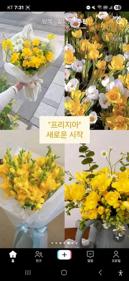 Profile image of 포요