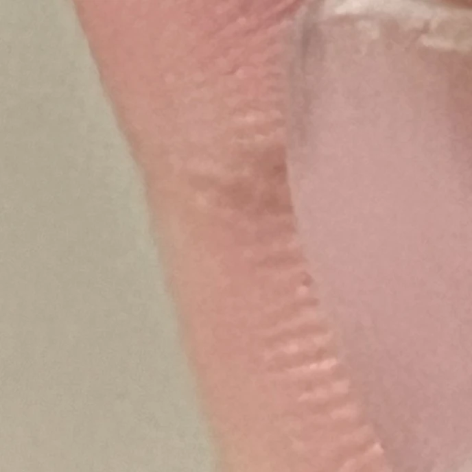 노래 잘하는 재콩이