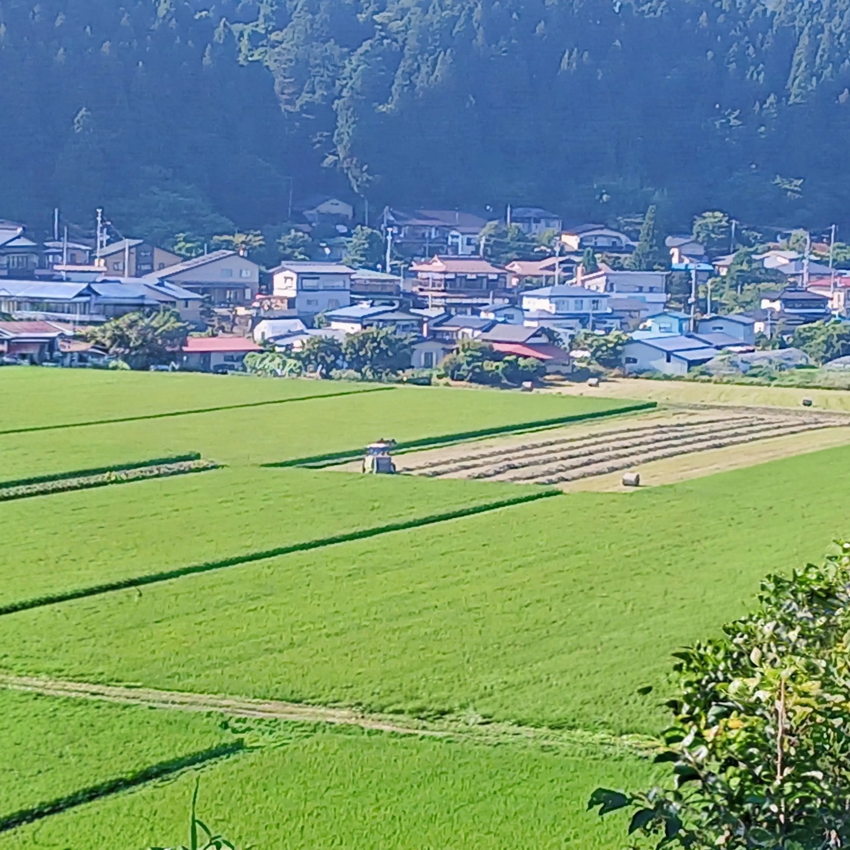 FleshyKnife8113의 ミセス学園に転校？！