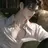 장 윤석