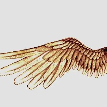 Profile image of 윈즈