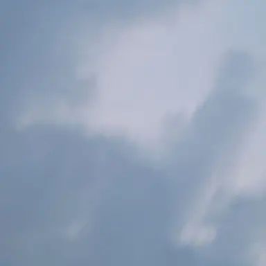 Profile image of 여우