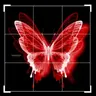 Profile image of CM