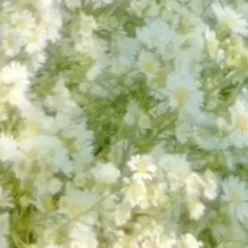 Profile image of リョウ