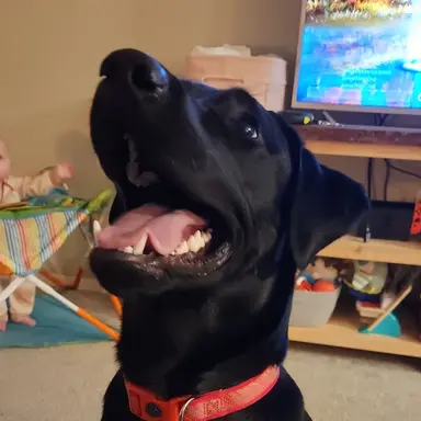 Profile image of Jack