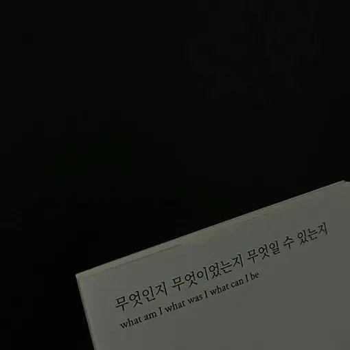 YJS103971의 김유연