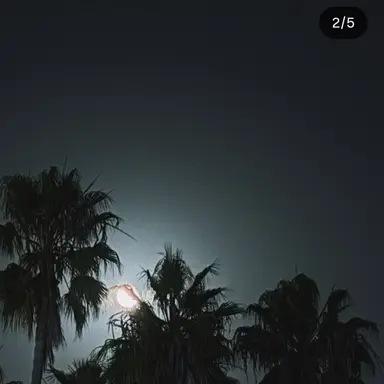 Profile image of 若井滉斗