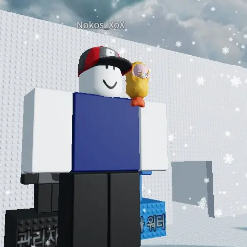 KOSNOKOSKONOKONOKO의 노코스
