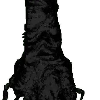 Profile image of 추종자