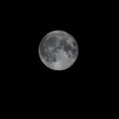 Profile image of 레볼루션..여우