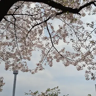 Profile image of 이서