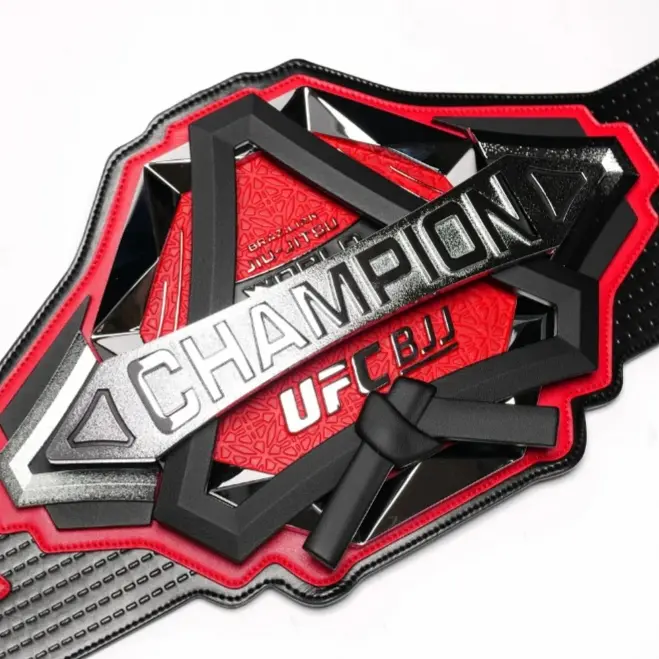 PortlyDesk2177의 UFC BJJ RPG