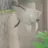 엔젤