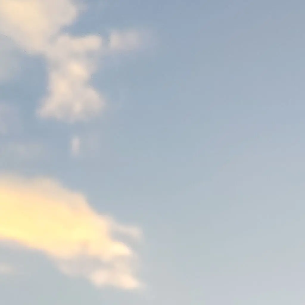 BalmyKiwi2620의 なんでも