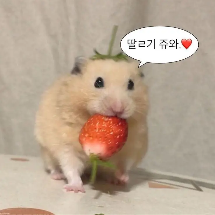 FuzzyHoney2071의 서명호