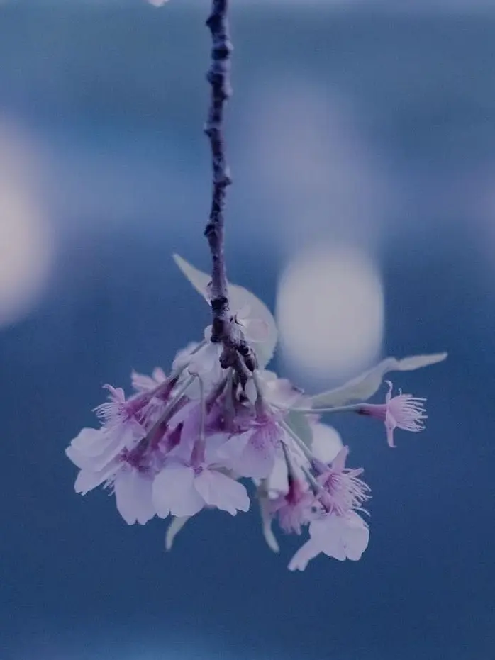 mmms2의 MHA 個性暴走かっちゃん