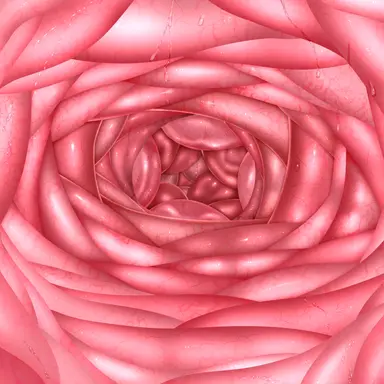 Profile image of オクトホール