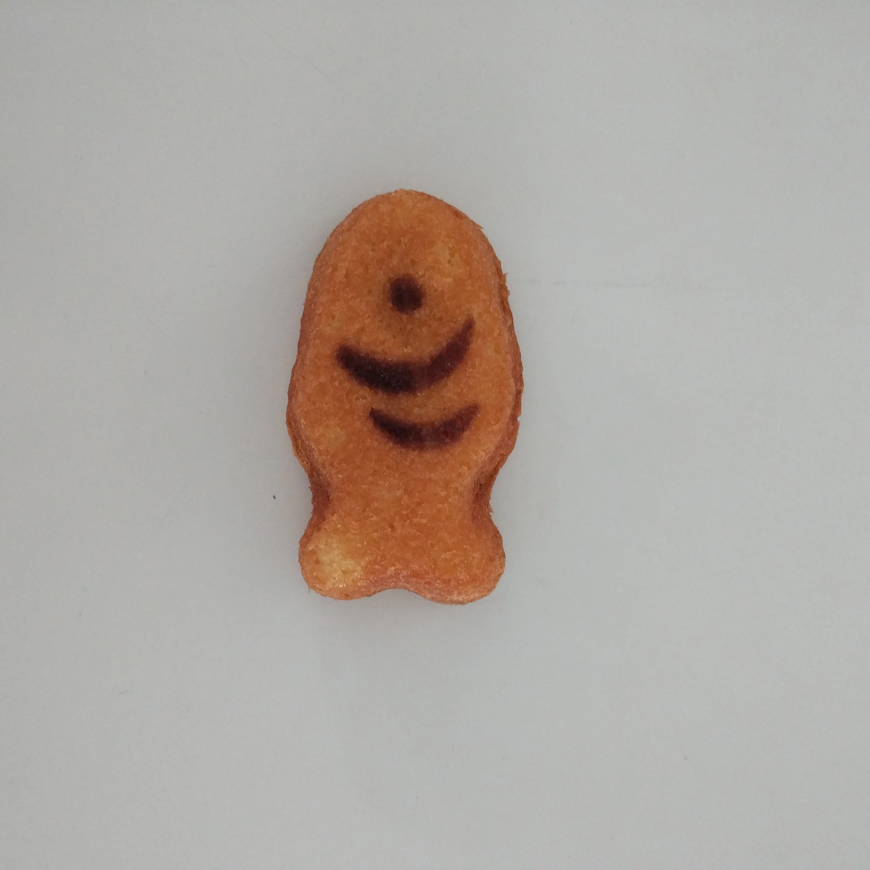 동생들