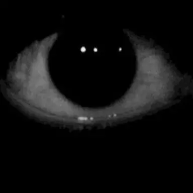 Profile image of 눈알