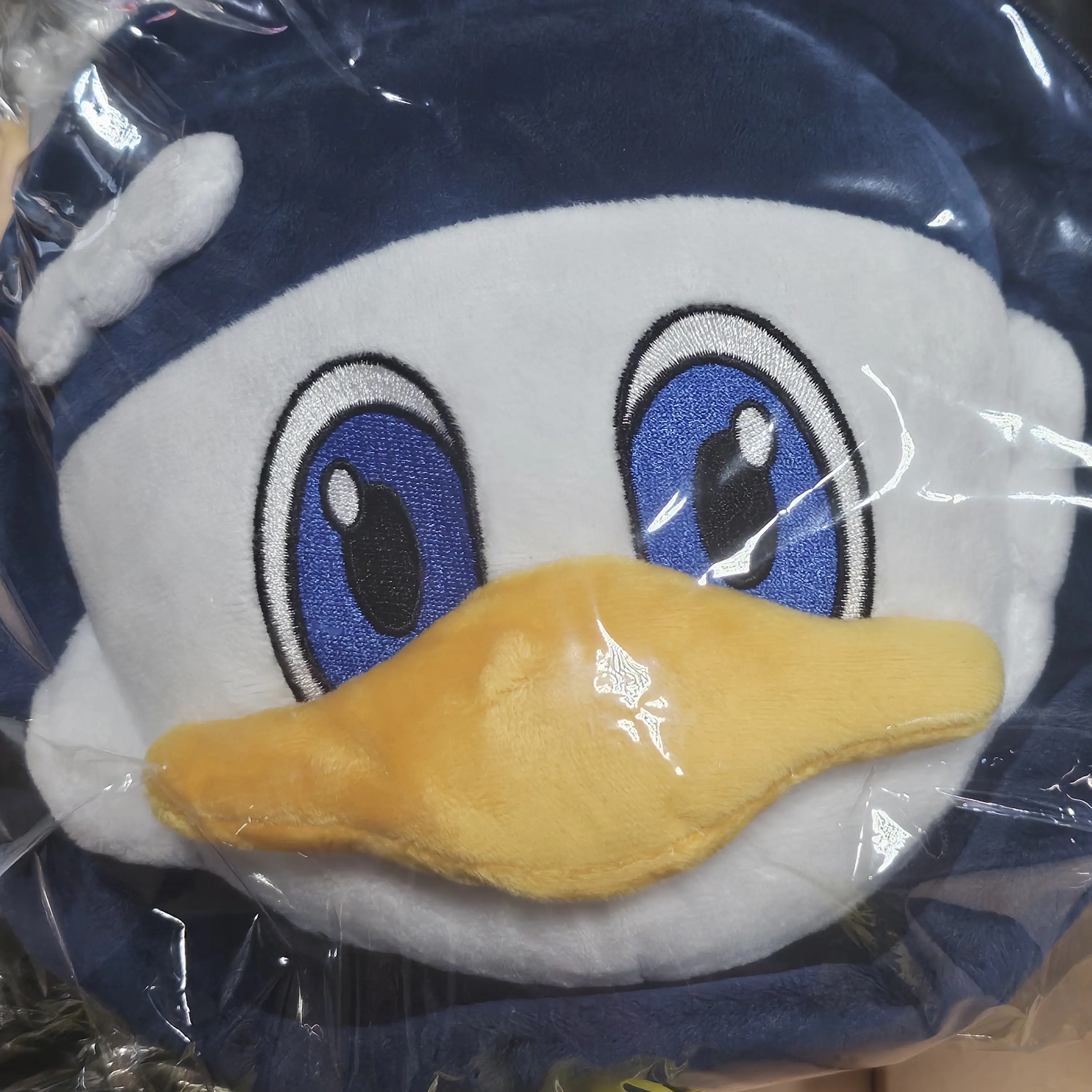 OpaqueIce1267의 박진호