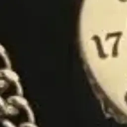 Jisssss_svt의 ウォヌ