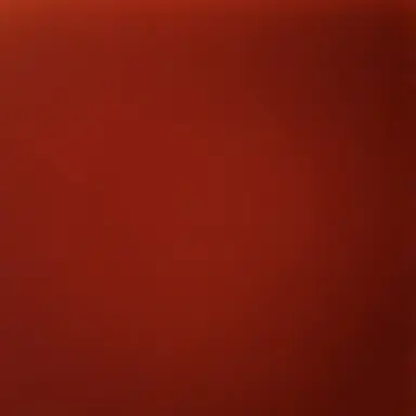 Profile image of 쥐방울