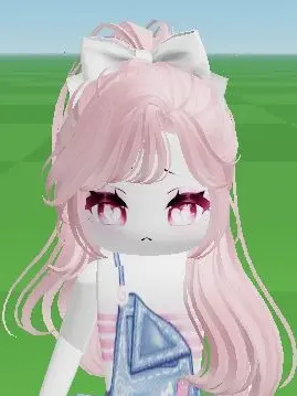 DISJJS의 アイドル学校