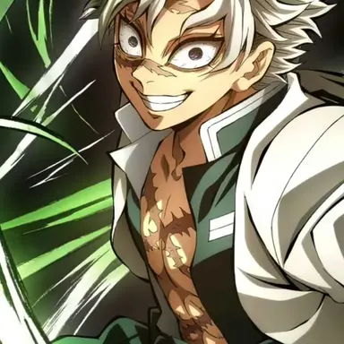 Profile image of 시나즈가와 사네미